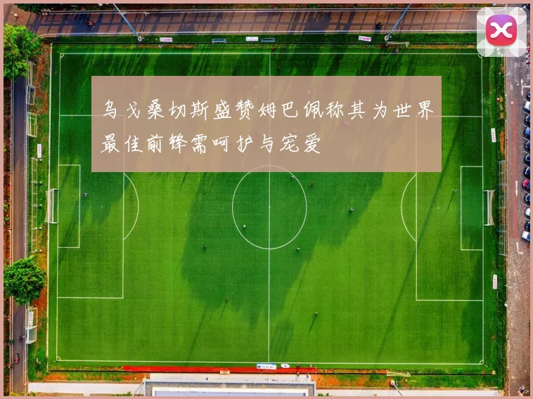 乌戈桑切斯盛赞姆巴佩称其为世界最佳前锋需呵护与宠爱
