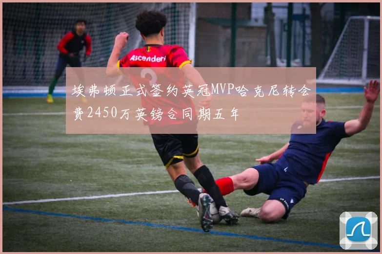埃弗顿正式签约英冠MVP哈克尼转会费2450万英镑合同期五年