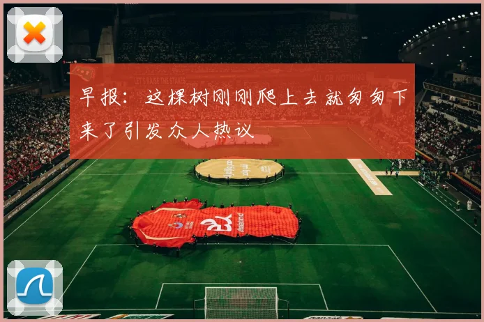 早报：这棵树刚刚爬上去就匆匆下来了引发众人热议